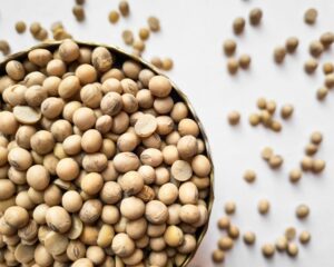 SOJAS PUPIŅAS, BIO ZERO WASTE LESS WASTE KUULE.LV BEZIEPAKOJUMA VEIKALS