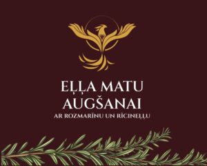 matu augšanas eļļa ar ROZMARĪNU
