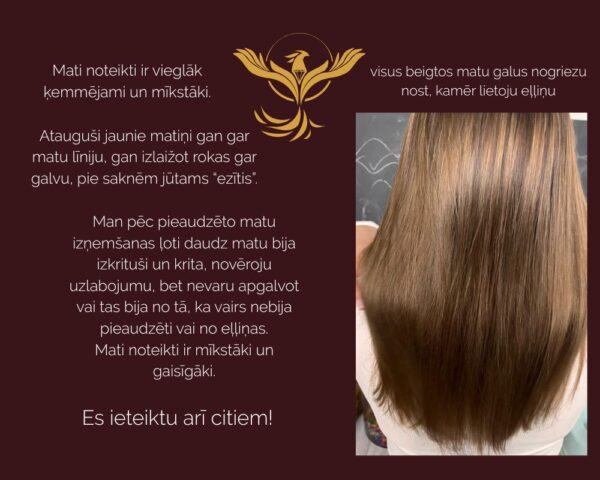 KOMPLEKTS MATU AUGŠANAI eļļa ar rozmarīnu, cinks un magnijs