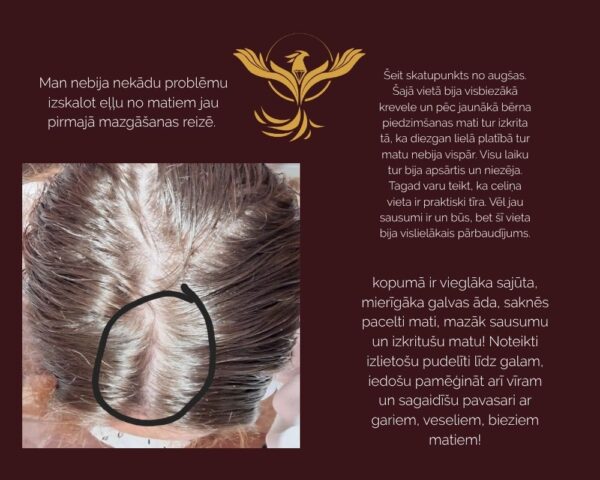 KOMPLEKTS MATU AUGŠANAI eļļa ar rozmarīnu, cinks un magnijs