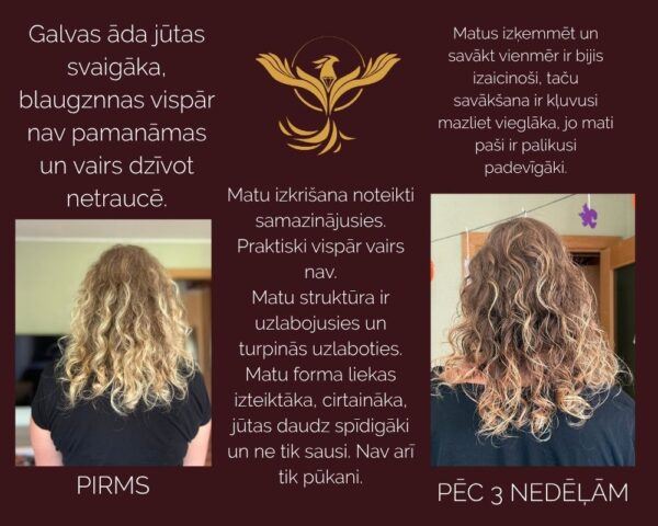 KOMPLEKTS MATU AUGŠANAI eļļa ar rozmarīnu, cinks un magnijs