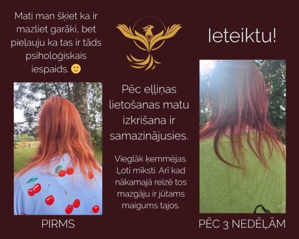 KOMPLEKTS MATU AUGŠANAI eļļa ar rozmarīnu, cinks un magnijs