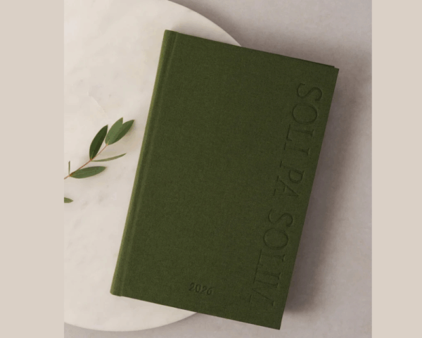 SOLI PA SOLIM ZAĻŠ -PLĀNOTĀJS 2026