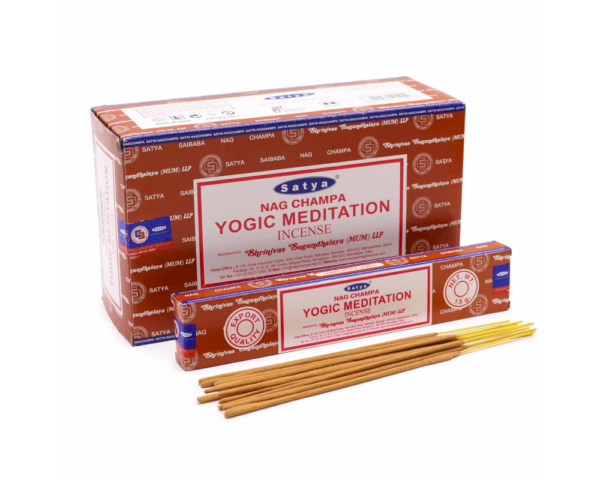 Vīraks Satya- Yogic Meditation